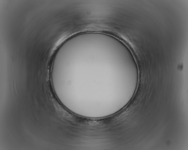 X0000090991459200708021152