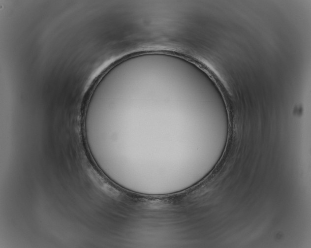 X0000090991460200708021152