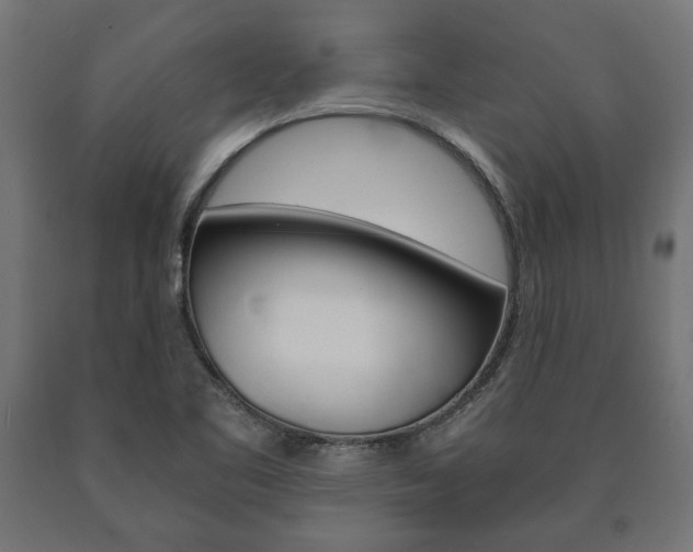 X0000090991461200708021152