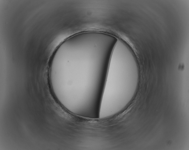 X0000090991463200708021152