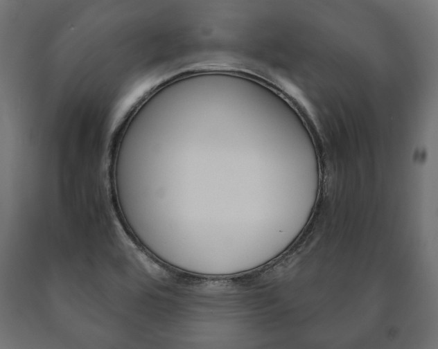 X0000090991464200708021152