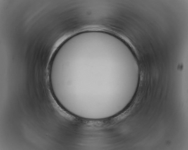 X0000090991466200708021152
