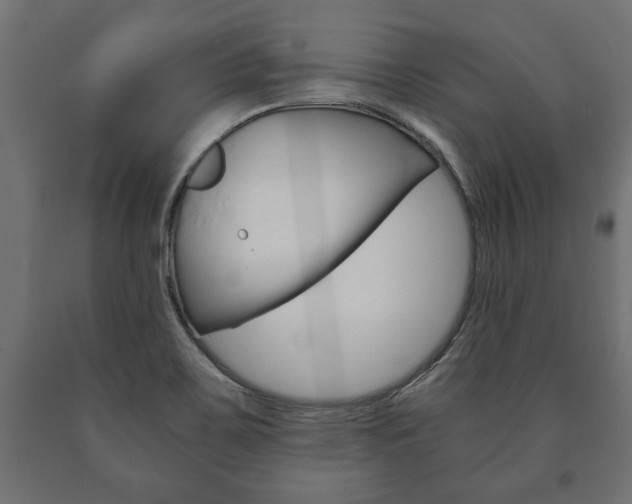 X0000090991467200708021152