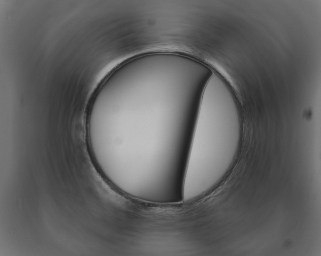 X0000090991468200708021152