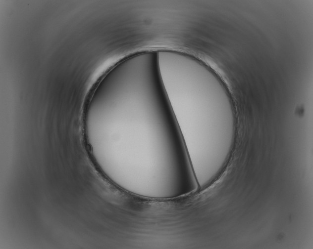 X0000090991469200708021152