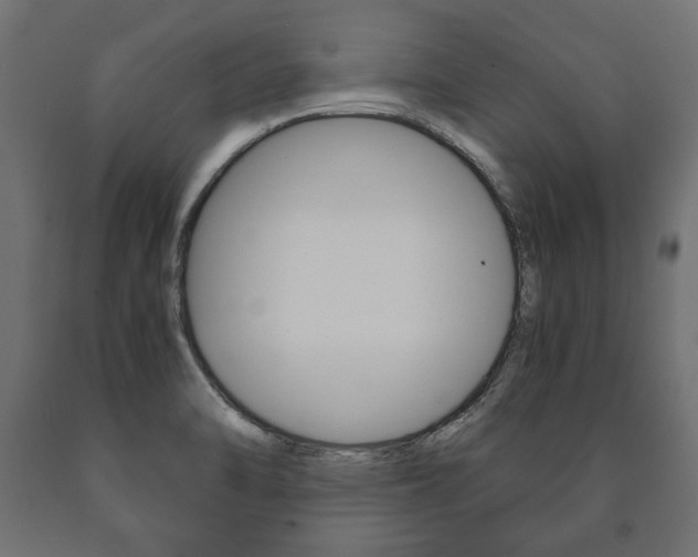 X0000090991470200708021152