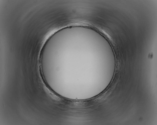 X0000090991471200708021152