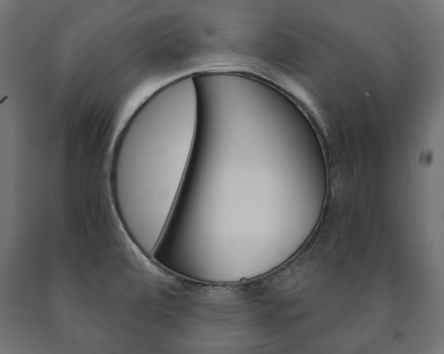 X0000090991472200708021152