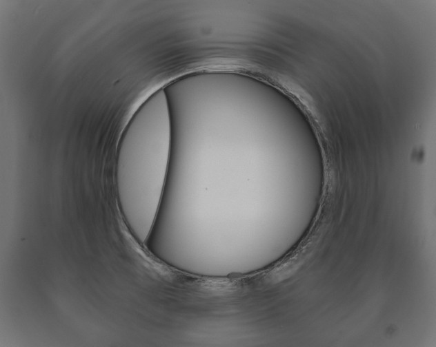 X0000090991473200708021152
