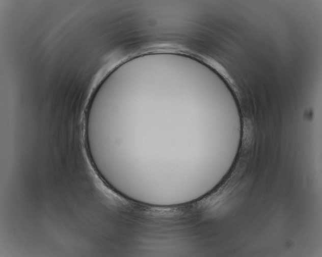 X0000090991474200708021152