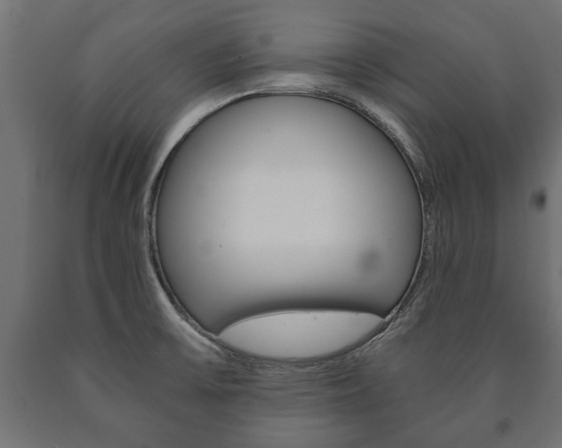 X0000090991475200708021152
