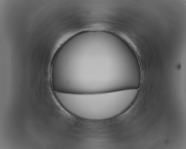X0000090991477200708021152