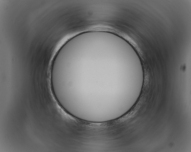 X0000090991478200708021152