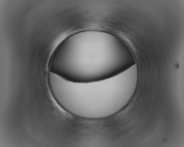 X0000090991479200708021152