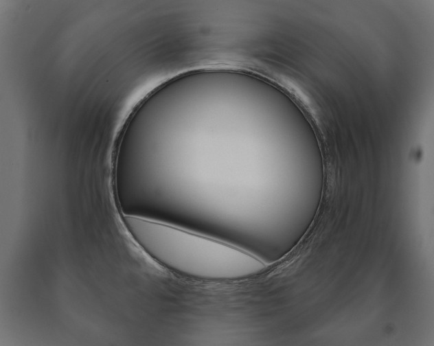 X0000090991480200708021152