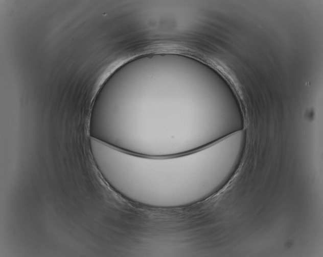 X0000090991481200708021152
