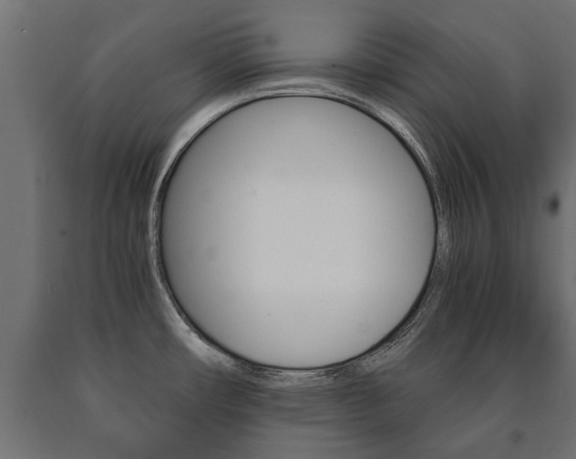 X0000090991482200708021152