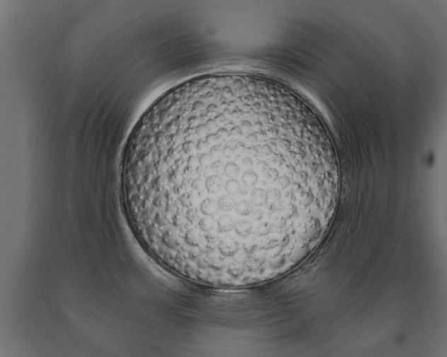 X0000090991483200708021152