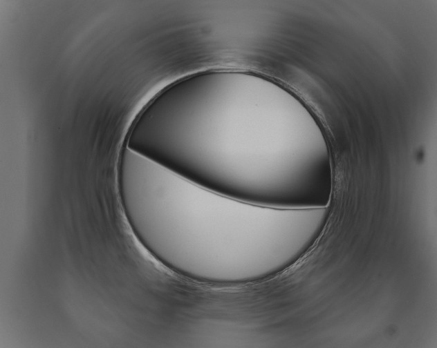 X0000090991484200708021152