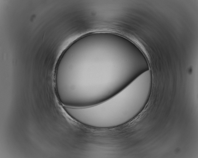 X0000090991485200708021152