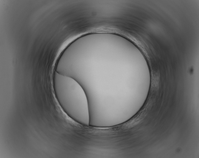 X0000090991486200708021152
