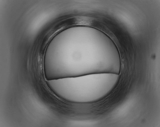 X0000090991487200708021152