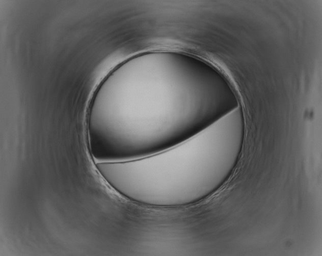 X0000090991488200708021152
