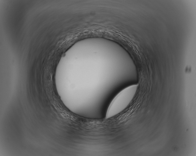 X0000090991489200708021151