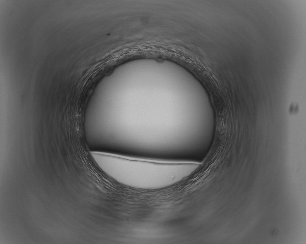 X0000090991490200708021151