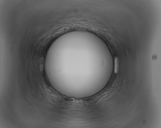 X0000090991491200708021151