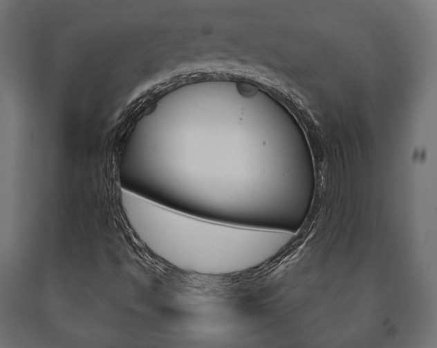 X0000090991494200708021151