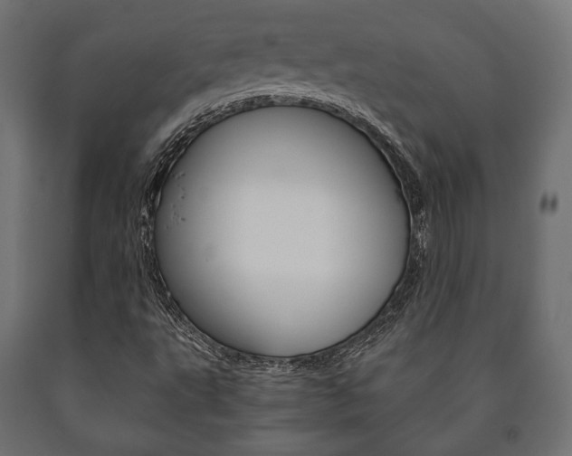 X0000090991495200708021151
