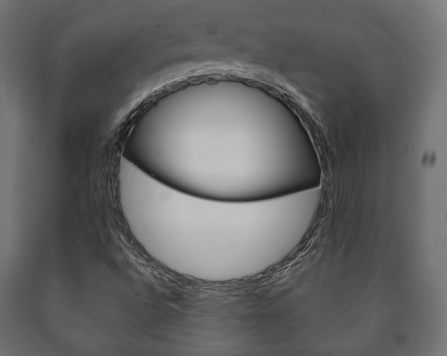 X0000090991496200708021151