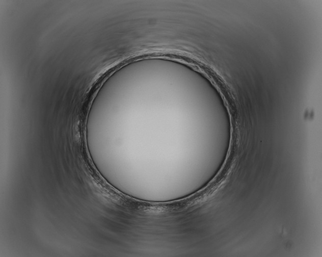 X0000090991497200708021151