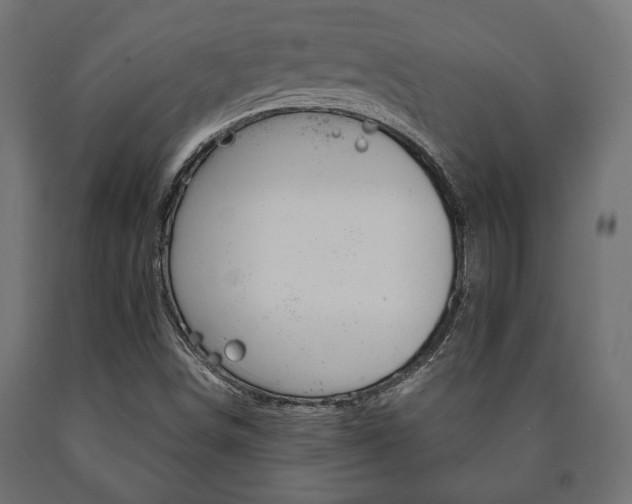 X0000090991498200708021151