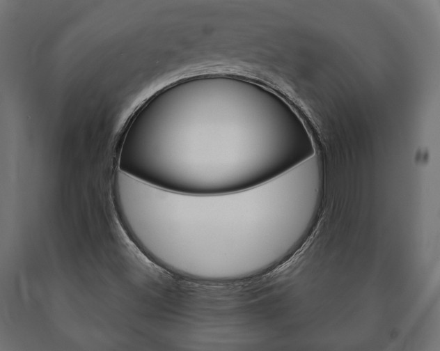 X0000090991500200708021151