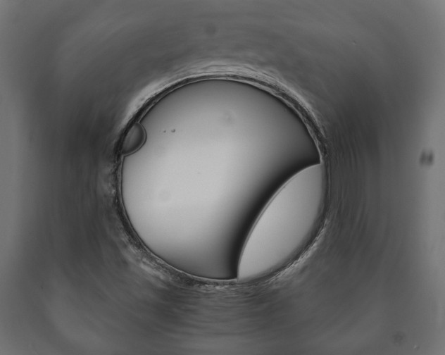 X0000090991501200708021151