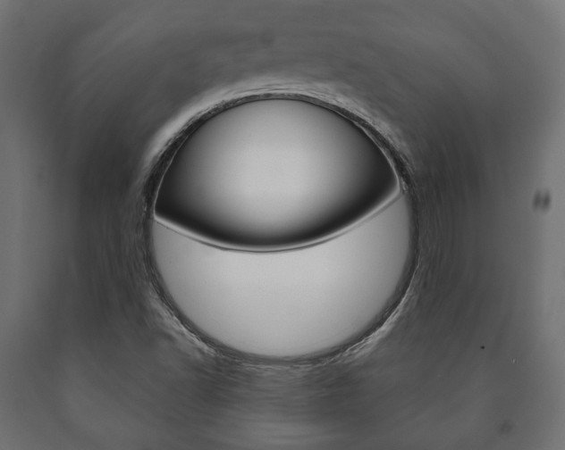 X0000090991502200708021151