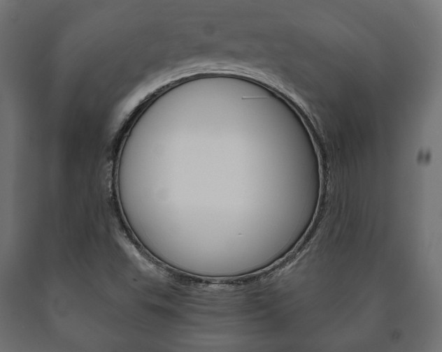 X0000090991503200708021151