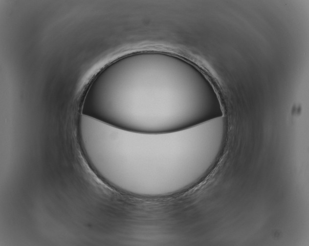 X0000090991504200708021151