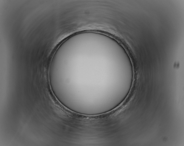 X0000090991505200708021151