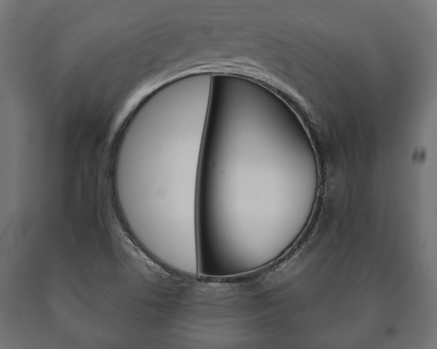 X0000090991506200708021151