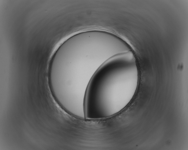 X0000090991508200708021151