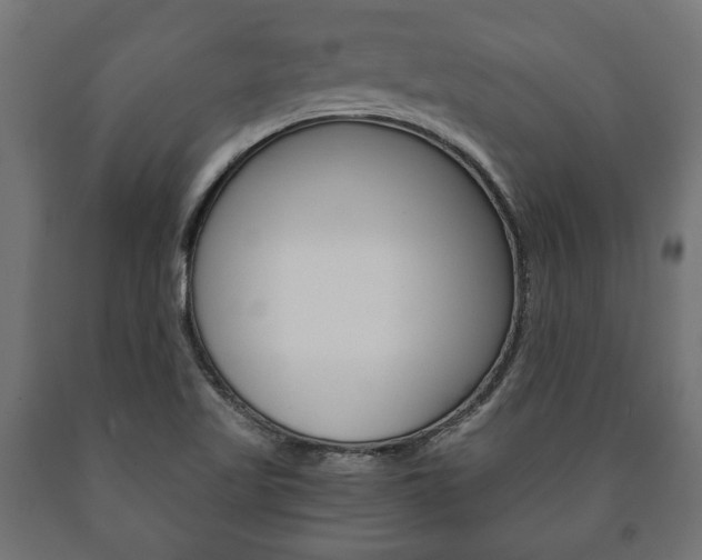 X0000090991509200708021151