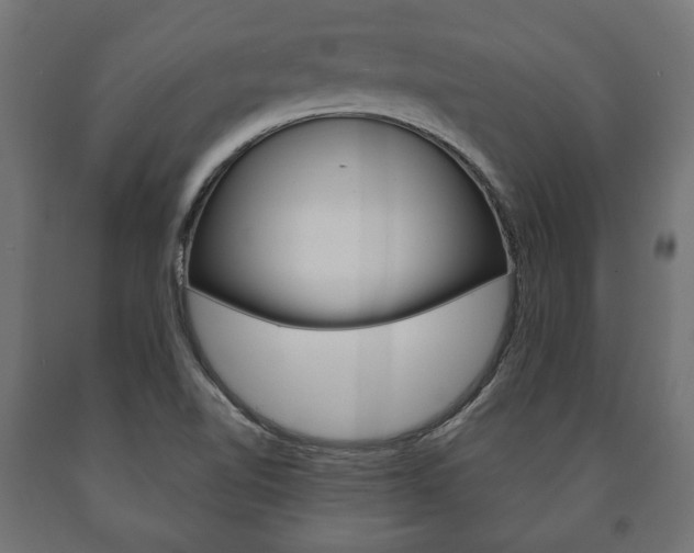 X0000090991510200708021151