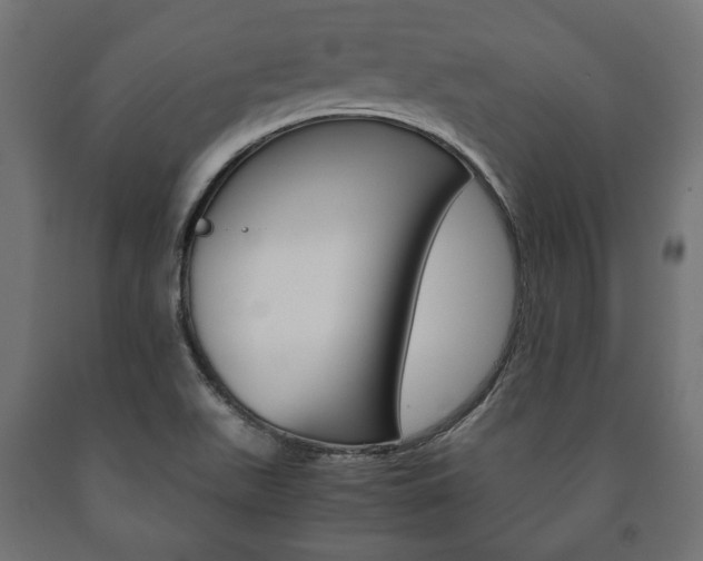 X0000090991511200708021151