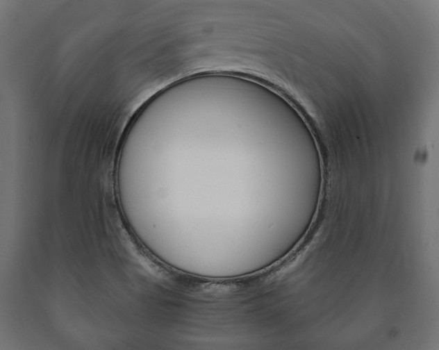 X0000090991513200708021152