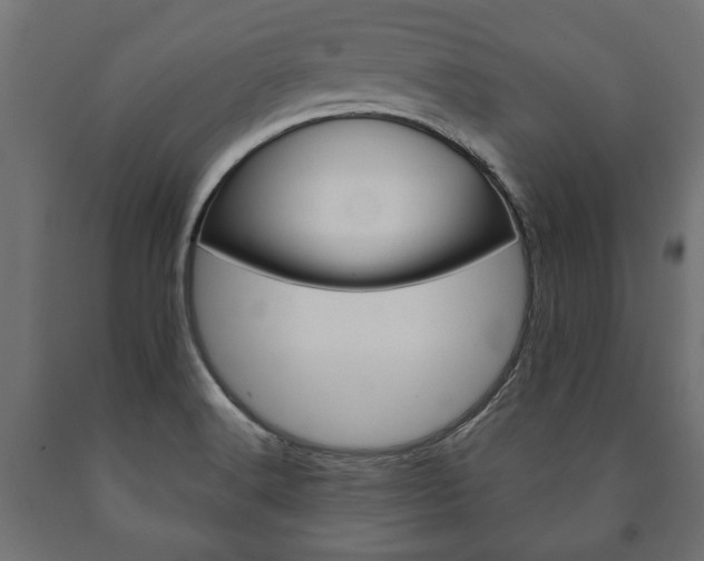 X0000090991516200708021152