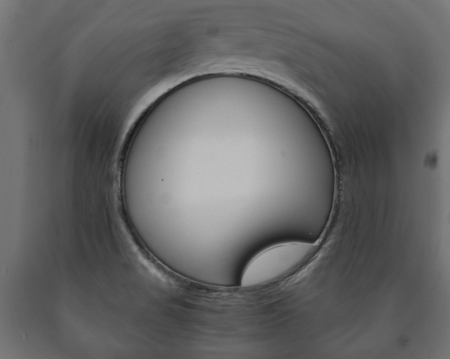 X0000090991517200708021152