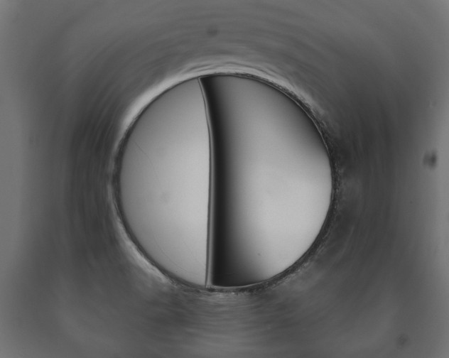 X0000090991518200708021152